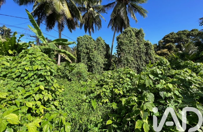 Vente Terrain 600m&sup2; Capesterre Belle Eau