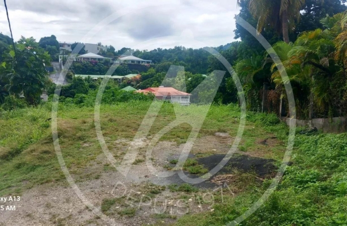 Vente Terrain 585m&sup2; Gosier