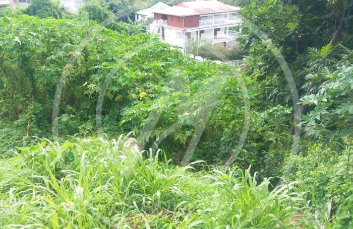 Vente Terrain 585m&sup2; Gosier