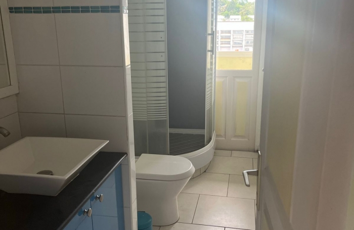 Appartement meubl&eacute; &agrave; vendre    Pointe-&agrave;-Pitre   150 000 &euro; FAI