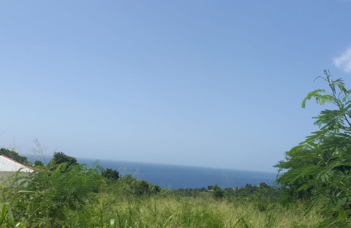 Terrain &agrave; vendre   Vue mer exceptionnelle   Vieux-Habitants