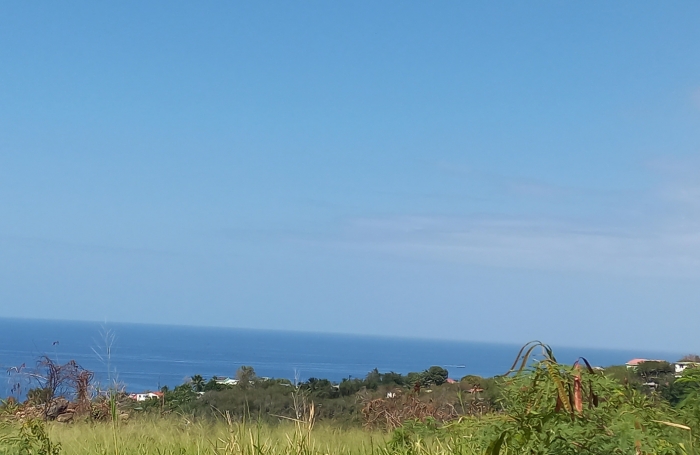 Terrain &agrave; vendre   Vue mer exceptionnelle   Vieux-Habitants