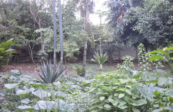 Vente Maison 108m&sup2; 4 pièces Vieux Habitants