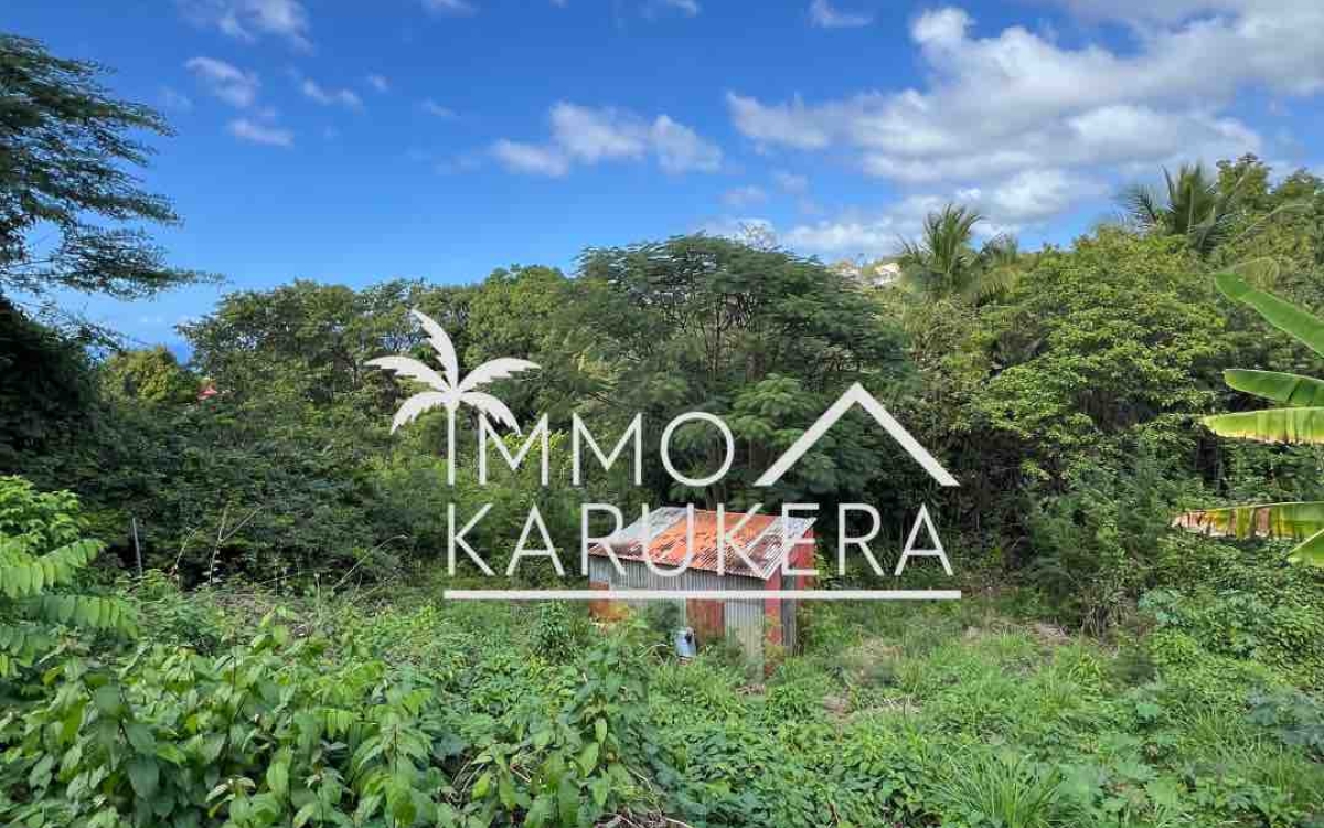 VENTE - Terrain non b&acirc;ti &agrave; Baillif (secteur Cadet)