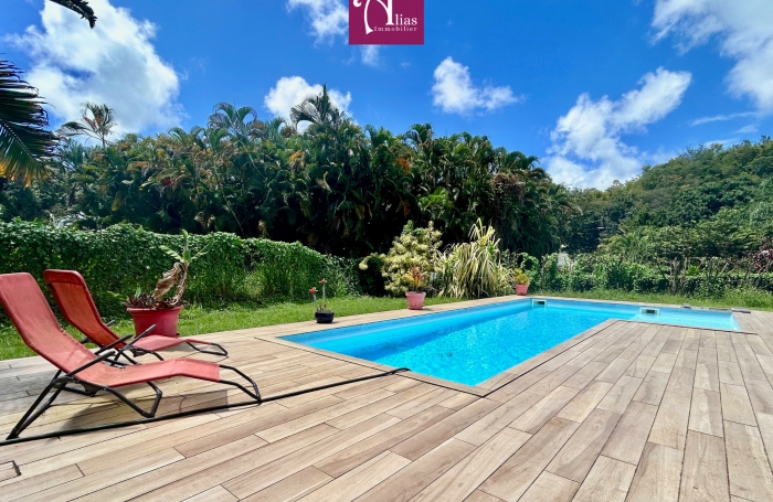 Vente Maison 97190