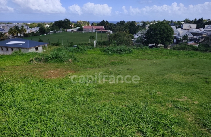 Vente Terrain 500m&sup2; Capesterre Belle Eau