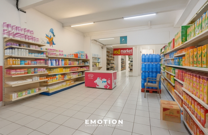 IMMEUBLE DE RAPPORT - POINTE-&Agrave;-PITRE