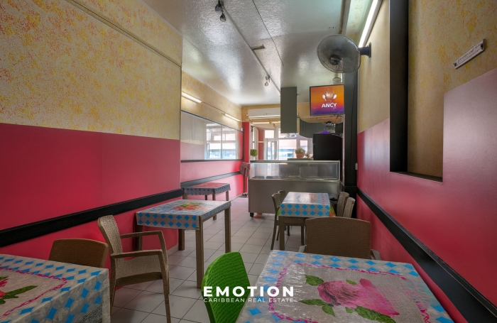 IMMEUBLE DE RAPPORT - POINTE-&Agrave;-PITRE