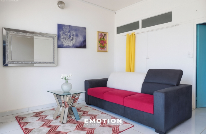 IMMEUBLE DE RAPPORT - POINTE-&Agrave;-PITRE