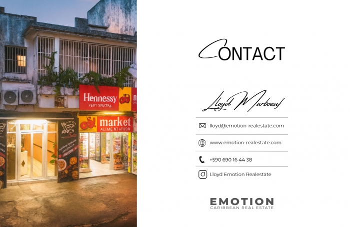 IMMEUBLE DE RAPPORT - POINTE-&Agrave;-PITRE