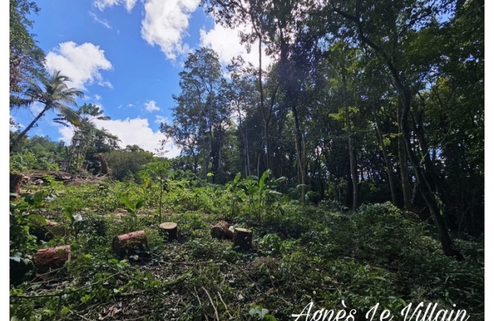 Vente Terrain 3123m&sup2; Bouillante