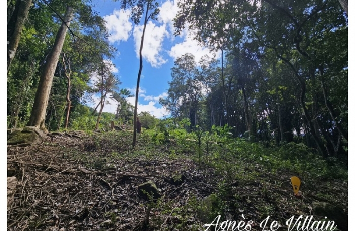 Vente Terrain 3502m&sup2; Bouillante