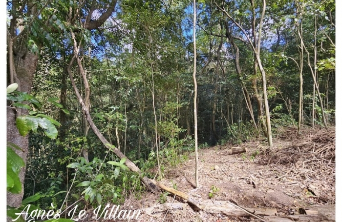 Vente Terrain 3502m&sup2; Bouillante