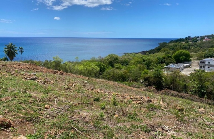 Vente Terrain 1039m&sup2; Vieux Habitants