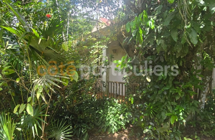 Vente Terrain 3166m&sup2; Lamentin