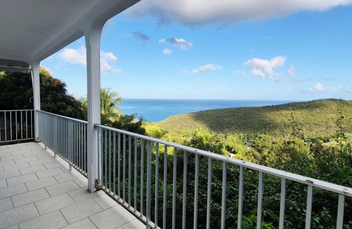 Location Appartement 97116