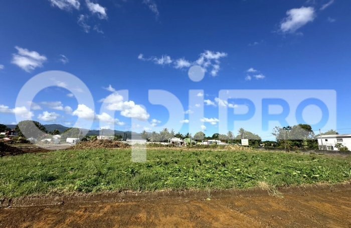 A vendre Terrain 1596 m&sup2; Sainte Rose