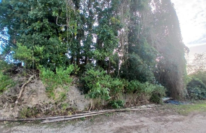 Vente Terrain 532m&sup2; Gosier