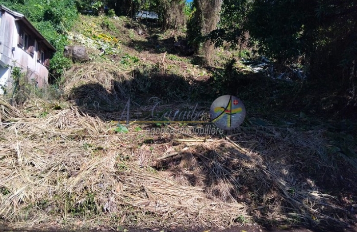 Vente Terrain 97120