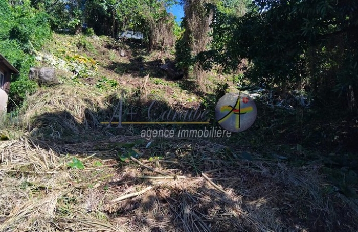 Environnement calme et verdoyant - Quartier r&eacute;sidentiel - Proche des commodit&eacute;s