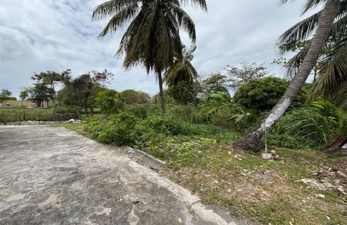 Location Appartement 34m&sup2; 2 pièces Le Moule