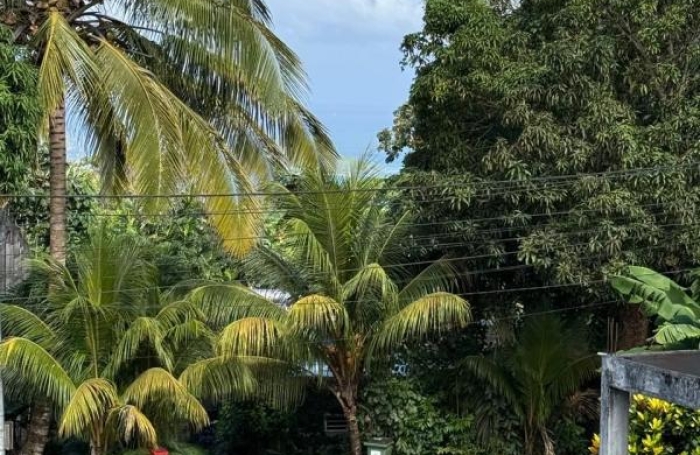 Vente Maison 220.84m&sup2; 6 pièces Deshaies