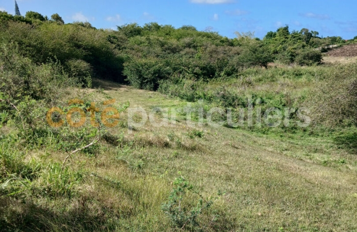 Vente Terrain 