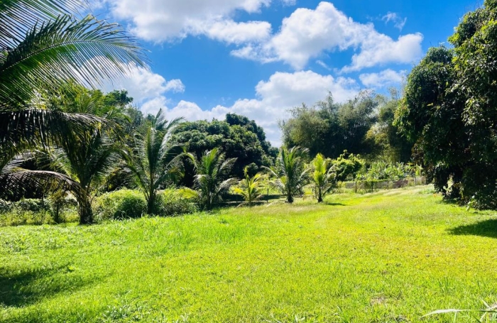 Vente Terrain 97122