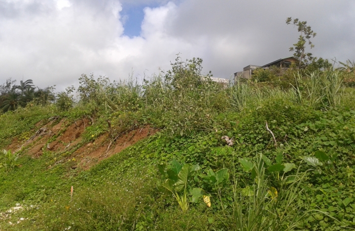 Vente Terrain 97128