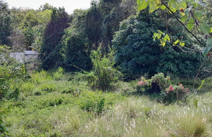Vente Terrain 97126