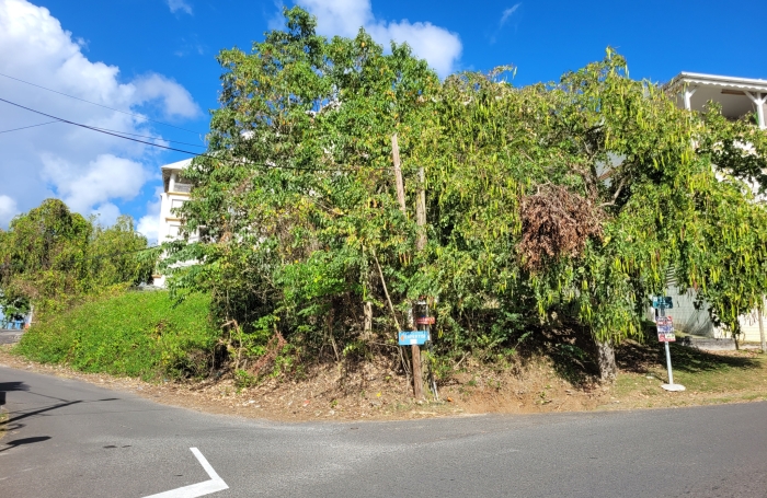 Vente Terrain 97139