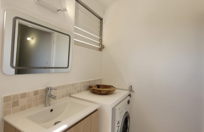 BeauT2 Duplex vue d&eacute;gag&eacute;e v&eacute;g&eacute;tation