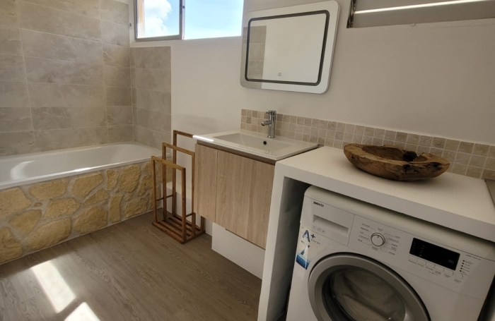 BeauT2 Duplex vue d&eacute;gag&eacute;e v&eacute;g&eacute;tation