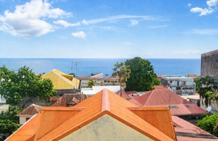 Vente Immeuble 97100