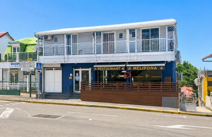 Vente Immeuble 260m&sup2; 11 pièces Basse-Terre