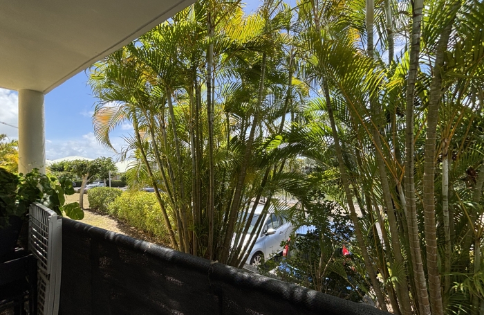 Vente Appartement 97180