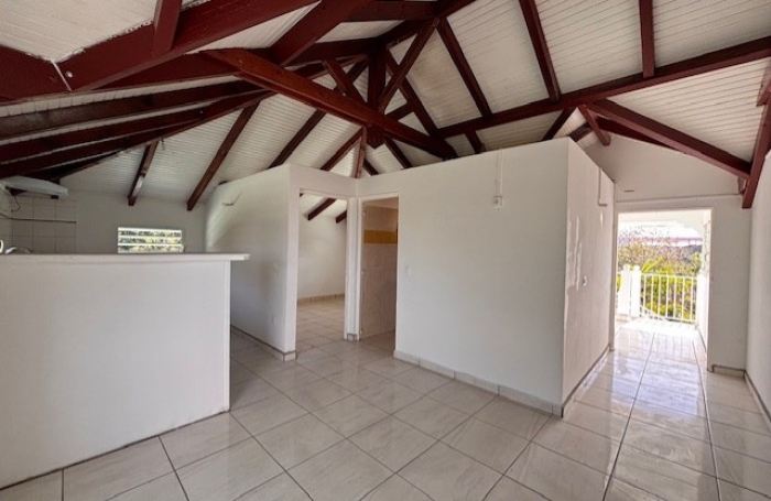 Location Appartement 97117