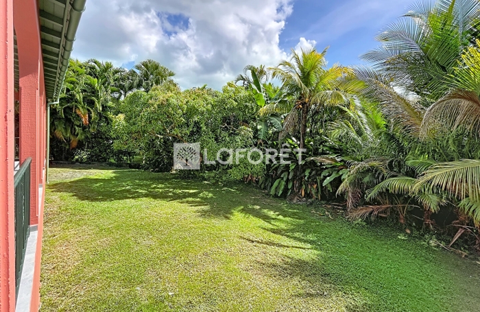 Location Bureaux 14m&sup2; Baie Mahault