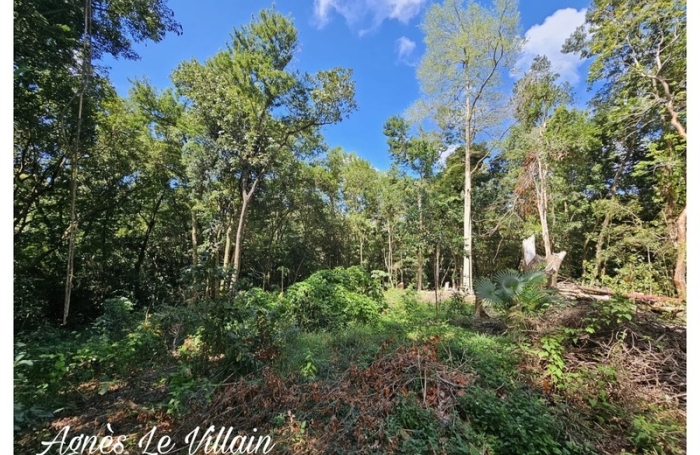 Vente Terrain 97125