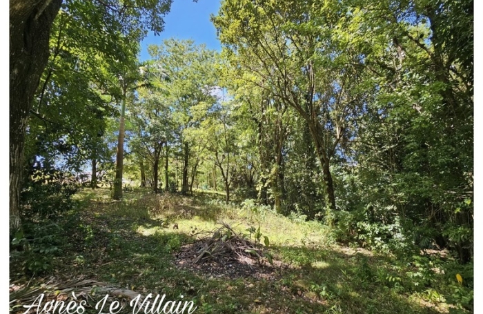 Vente Terrain 3123m&sup2; Bouillante