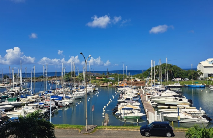 T3 meubl&eacute; d&rsquo;exception avec vue mer et marina   Rivi&egrave;re Sens