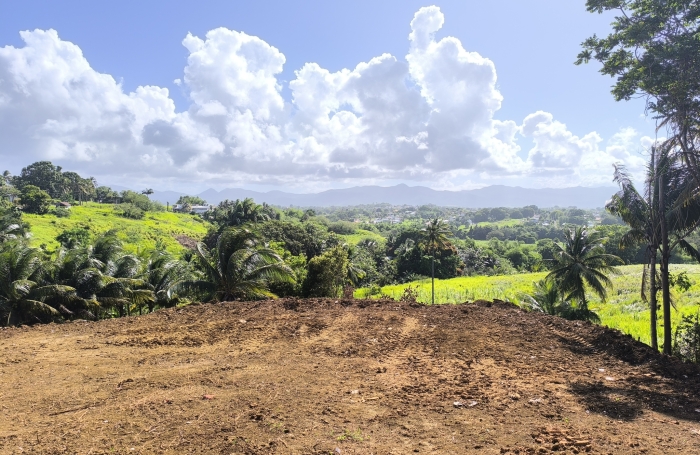 &Agrave; VENDRE - Terrain constructible de 1000 m2 avec vue montagnes   Budan, Baie-Mahault