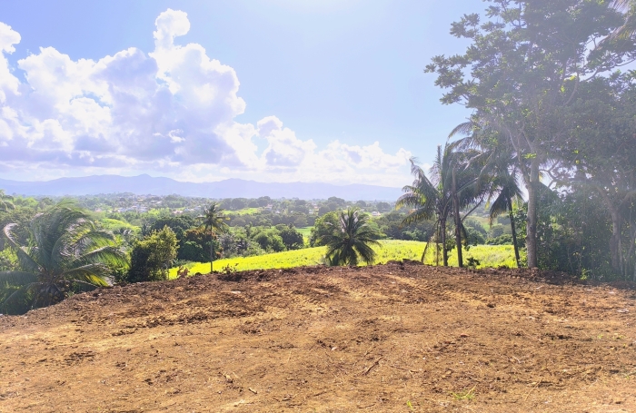 &Agrave; VENDRE - Terrain constructible de 1000 m2 avec vue montagnes   Budan, Baie-Mahault