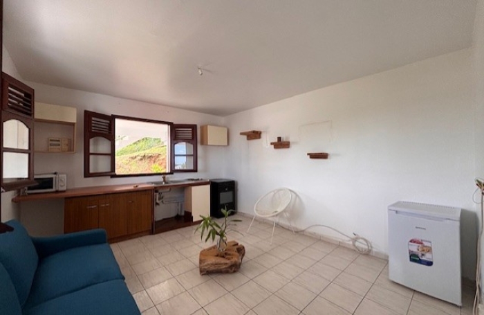 Deux pi&egrave;ces &agrave; louer aux Abyme - LONGFORT IMMOBILIER