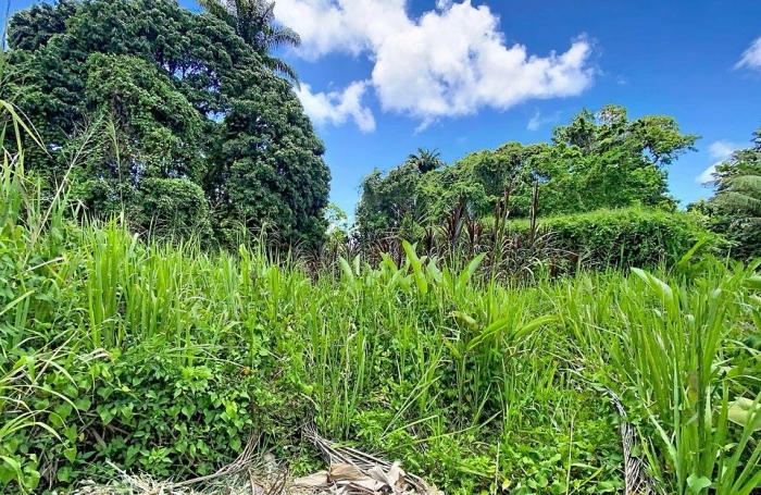 Vente Terrain 