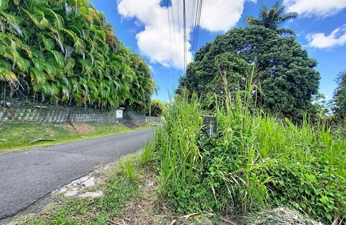 Vente Terrain 462m&sup2; Petit-Bourg