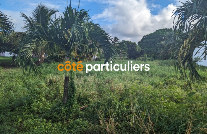 Vente Terrain 