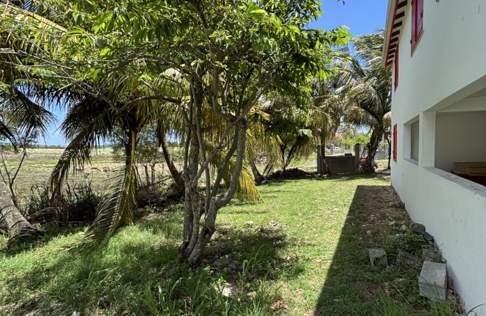 A VENDRE  Maison F3 + studio   Les Mangles, Petit-Canal