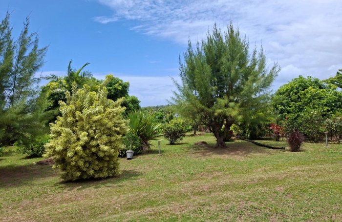 Location Maison 135m&sup2; 4 pièces Capesterre Belle Eau