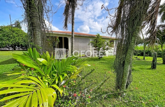 Vente Maison 